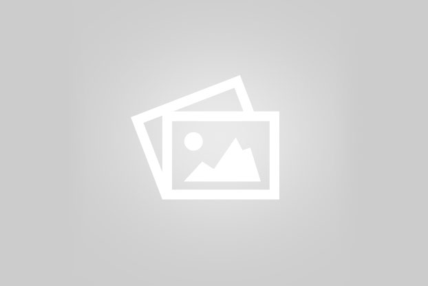 Persona: Designer SVG